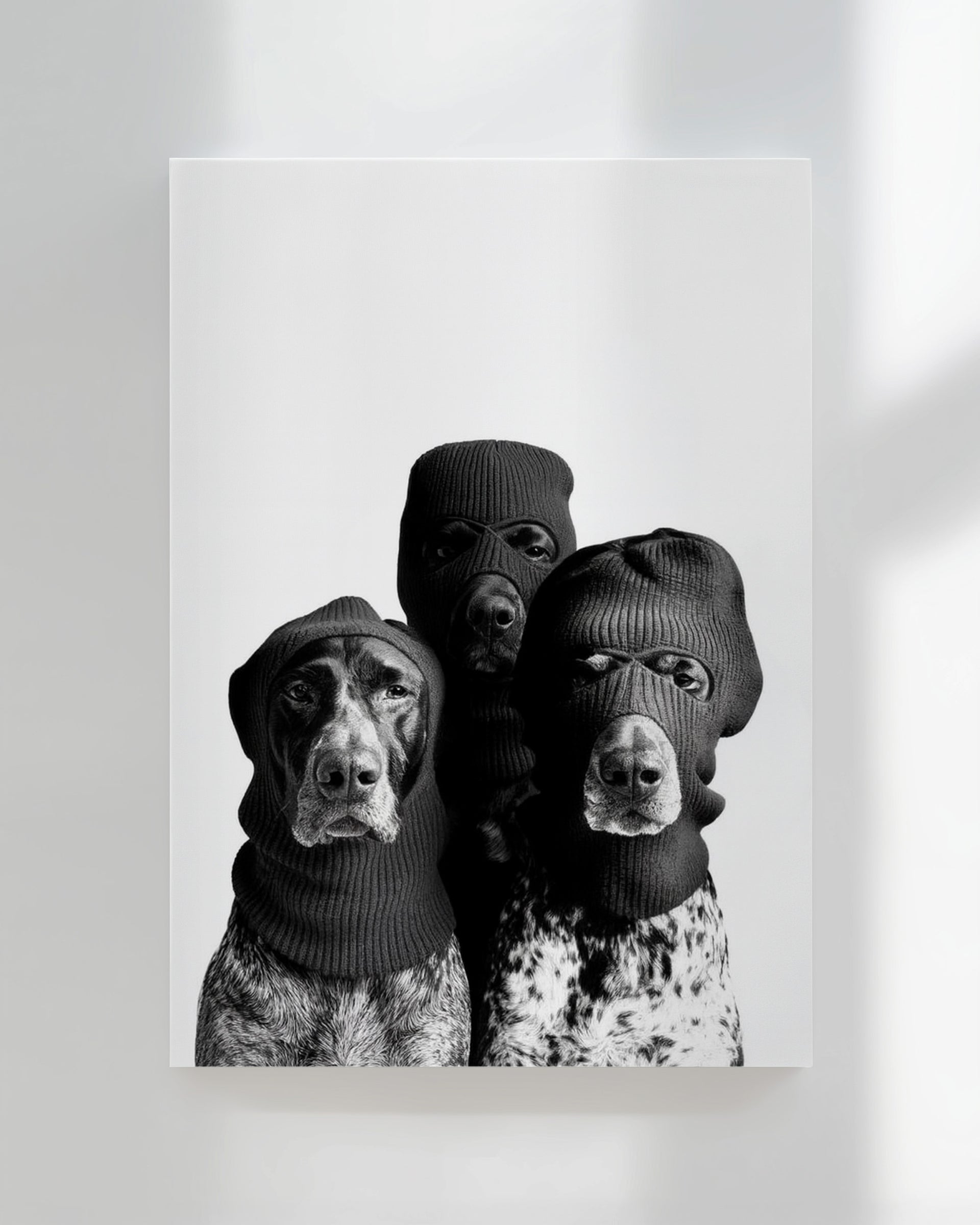 Three Masked Dogs