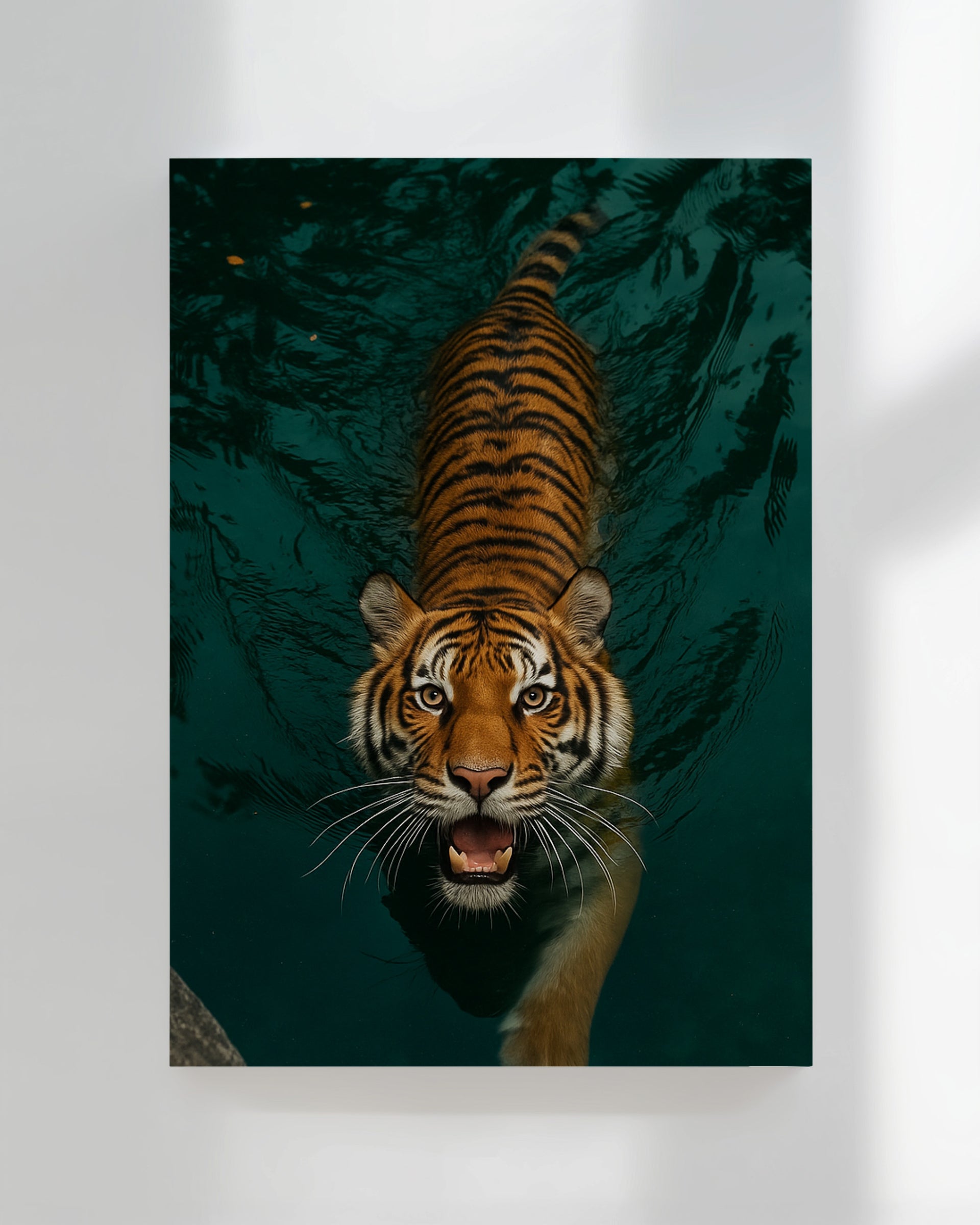 Tiger In Water