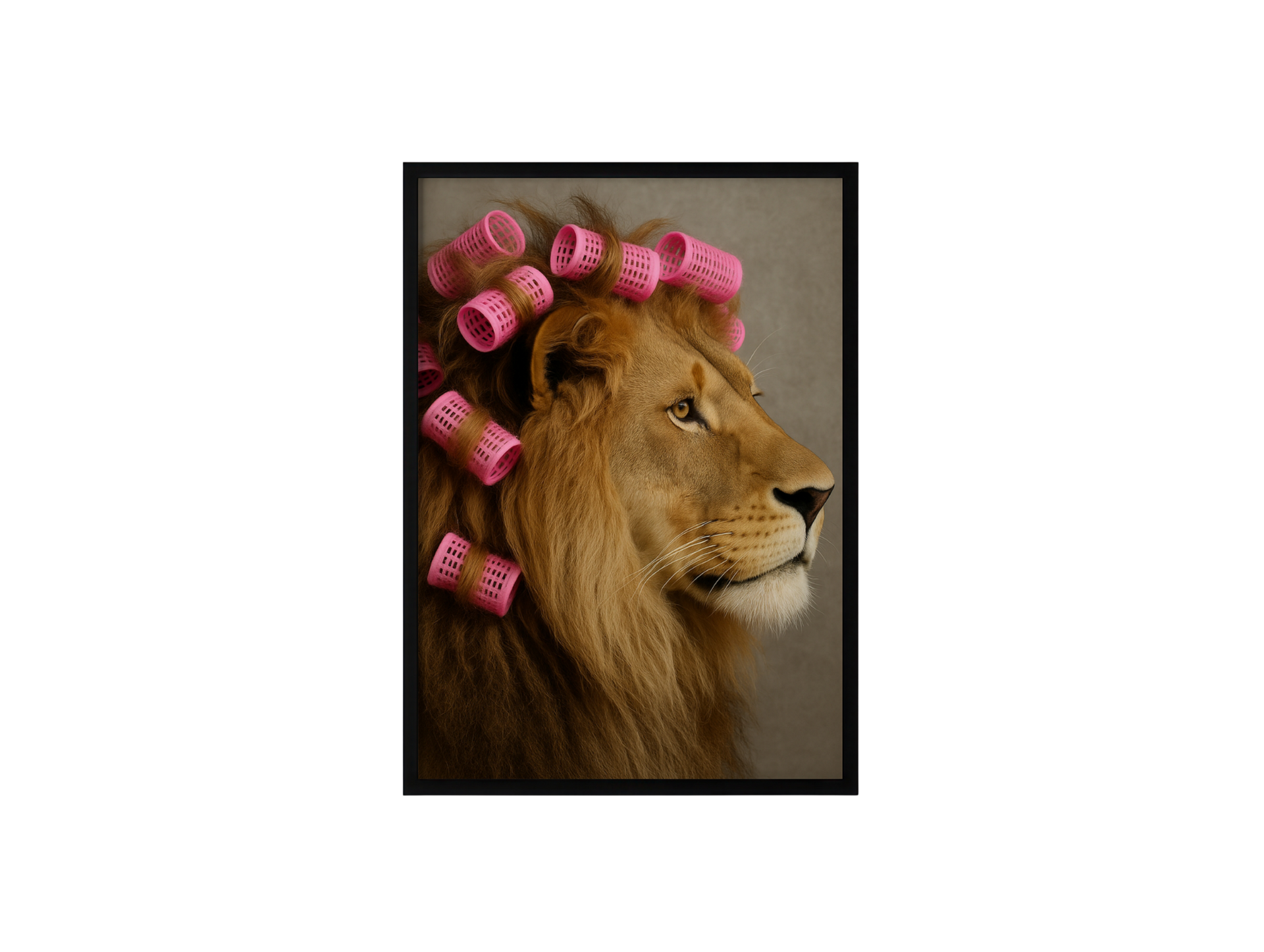 Lion With Hair Rollers