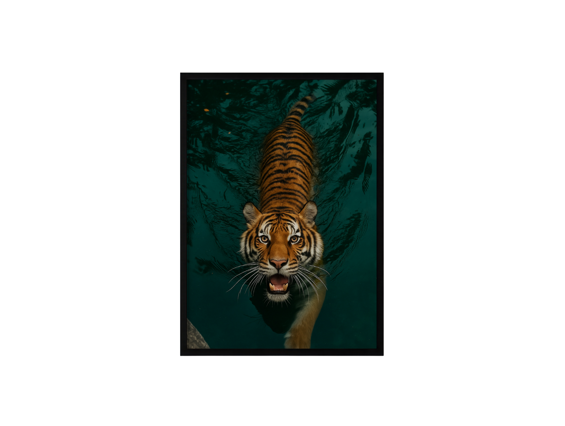 Tiger In Water